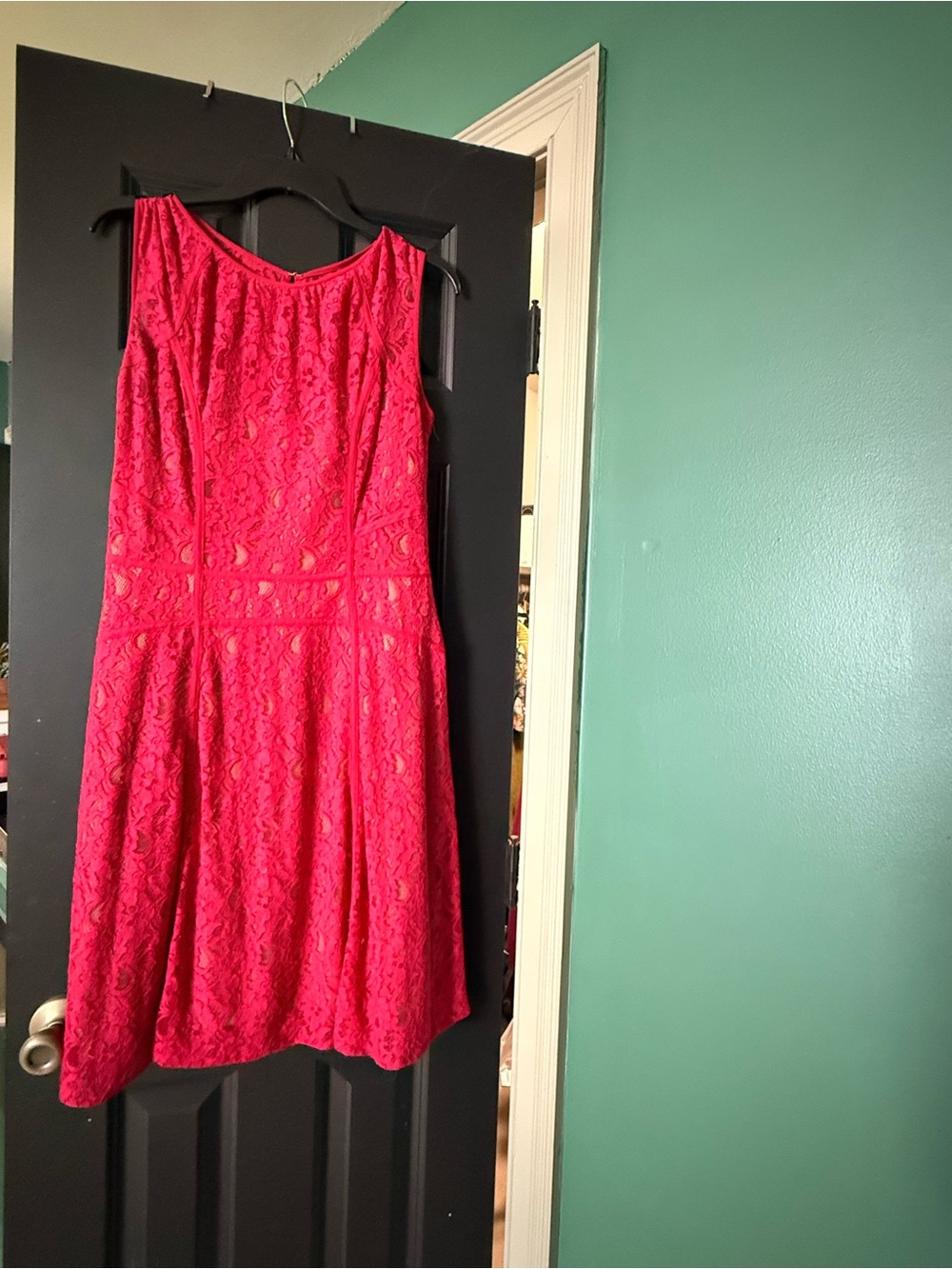 BCBGMAXAZRIA Red Lace Fit-and-Flare Dress
